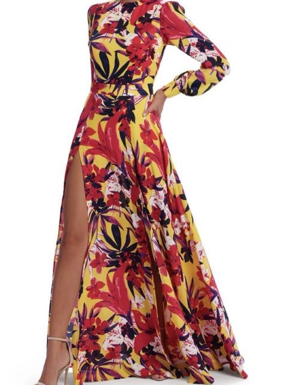Nadine Merabi Sofia Floral Maxi Dress - size Small